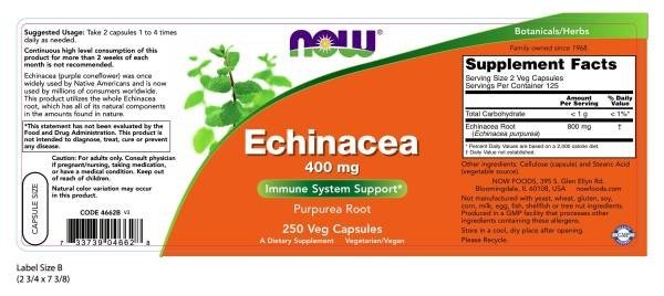 Now Foods Echinacea Root Purpurea 400mg 250 Capsule