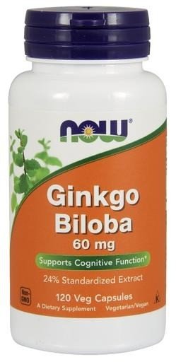 Now Foods Ginkgo Biloba 60mg 24 % Extract 120 Capsule