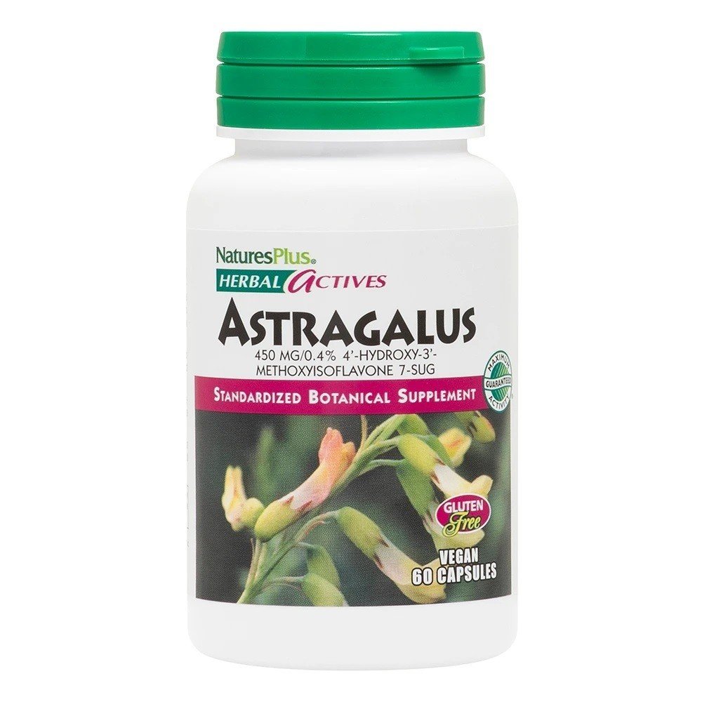 Nature&#39;s Plus Astragalus Extract 450mg 60 Capsule