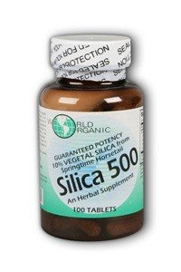 World Organics Silica-500mg 100 Tablet