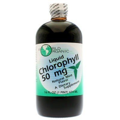 World Organics Chlorophyll Liquid-50mg/Mint 16 oz Liquid