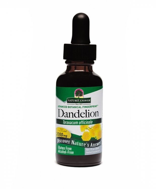 Nature's Answer Dandelion Root Extract 1 oz Liquid