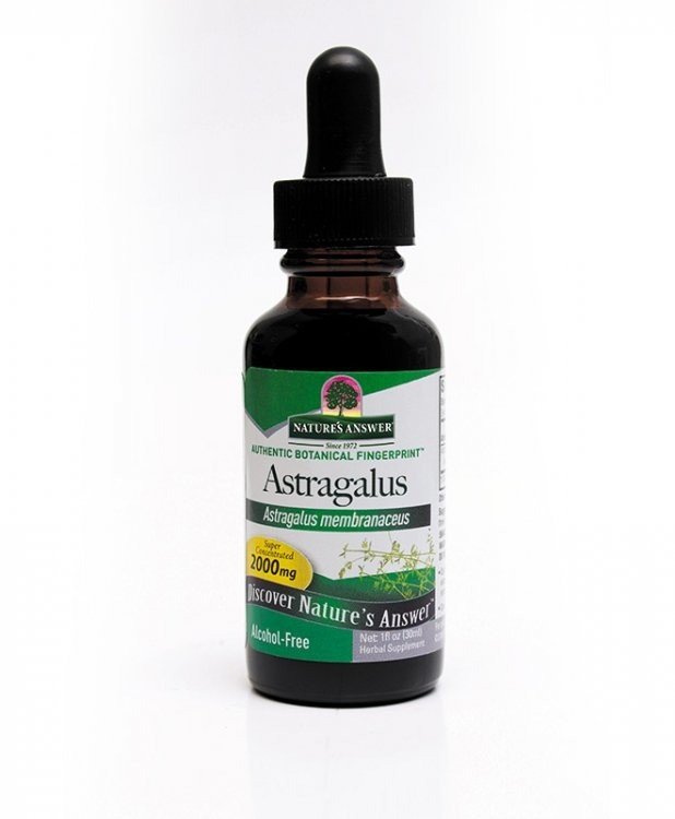 Nature&#39;s Answer Astragalus Extract 1 oz Liquid