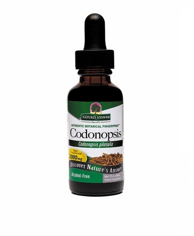 Nature&#39;s Answer Codonopsis Extract No Alcohol 1 oz Liquid