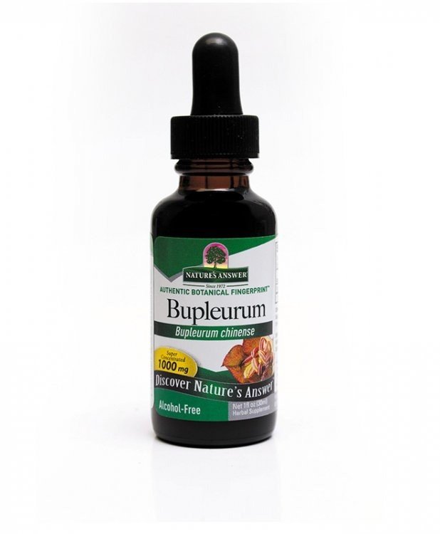 Nature's Answer Bupleurum Root No Alcohol 1 oz Liquid