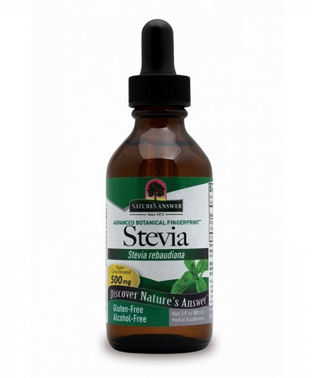 Nature's Answer Stevia Extract No Alcohol 2 oz Liquid