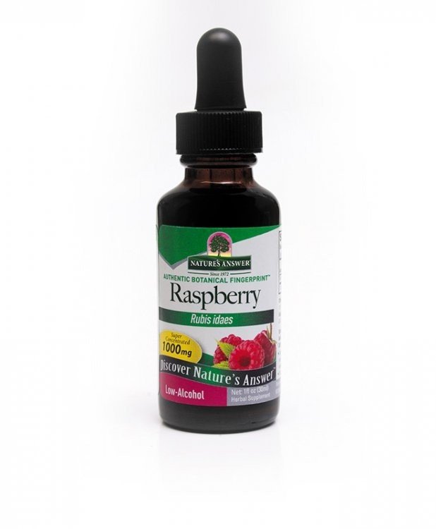 Nature's Answer Raspberry Leaf Extract No Alcohol 1 oz Liquid