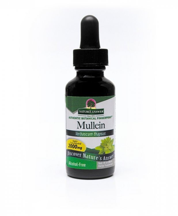 Nature&#39;s Answer Mullein Leaf Extract No Alcohol 1 oz Liquid