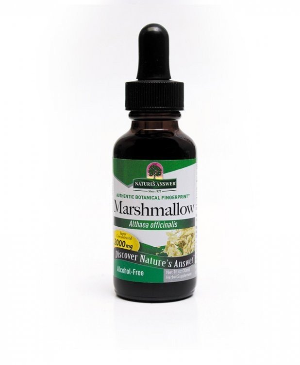 Nature's Answer Marshmallow Root Extract No Alcohol 1 oz Liquid