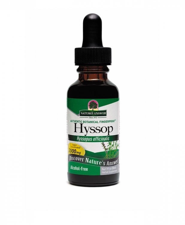 Nature's Answer Hyssop Extract No Alcohol 1 oz Liquid