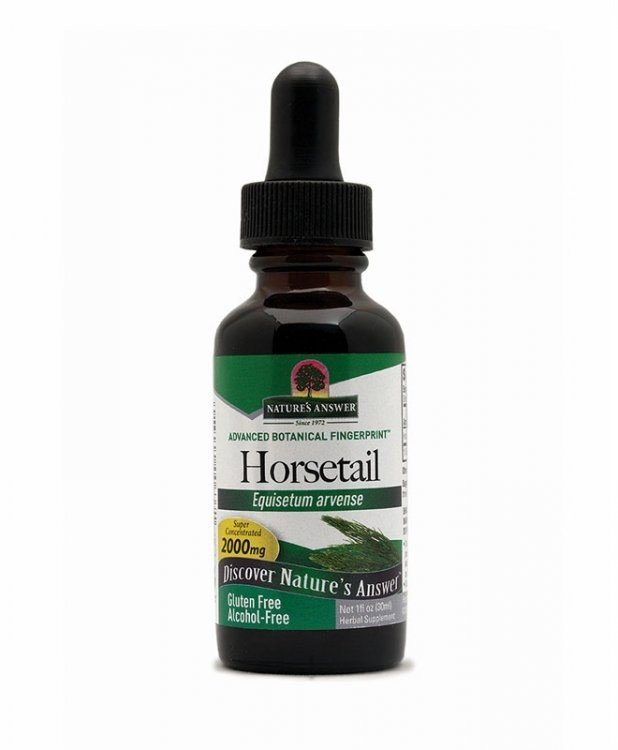 Nature&#39;s Answer Horsetail Extract No Alcohol 1 oz Liquid