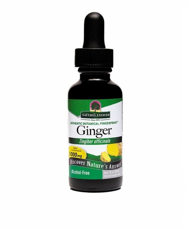 Nature&#39;s Answer Ginger Root Extract No Alcohol 1 oz Liquid