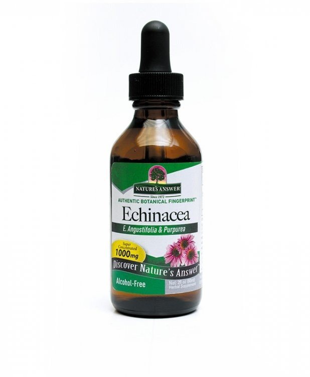 Nature's Answer Echinacea Extract No Alcohol 2 oz Liquid