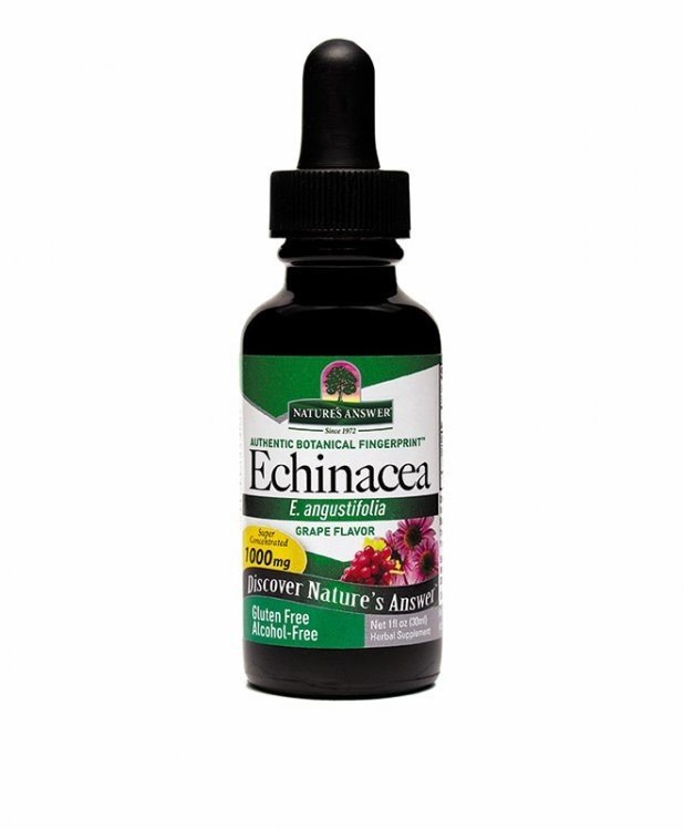 Nature's Answer Echinacea Extract No Alcohol 1 oz Liquid