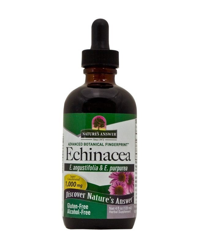 Nature's Answer Echinacea Extract No Alcohol 4 oz Liquid