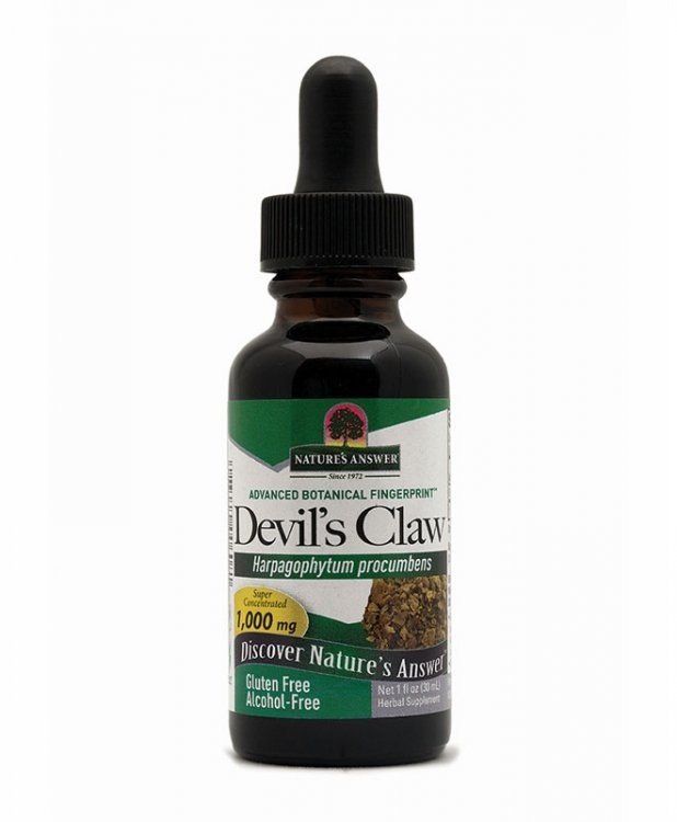 Nature's Answer Devil's Claw Extract No Alcohol 1 oz Liquid