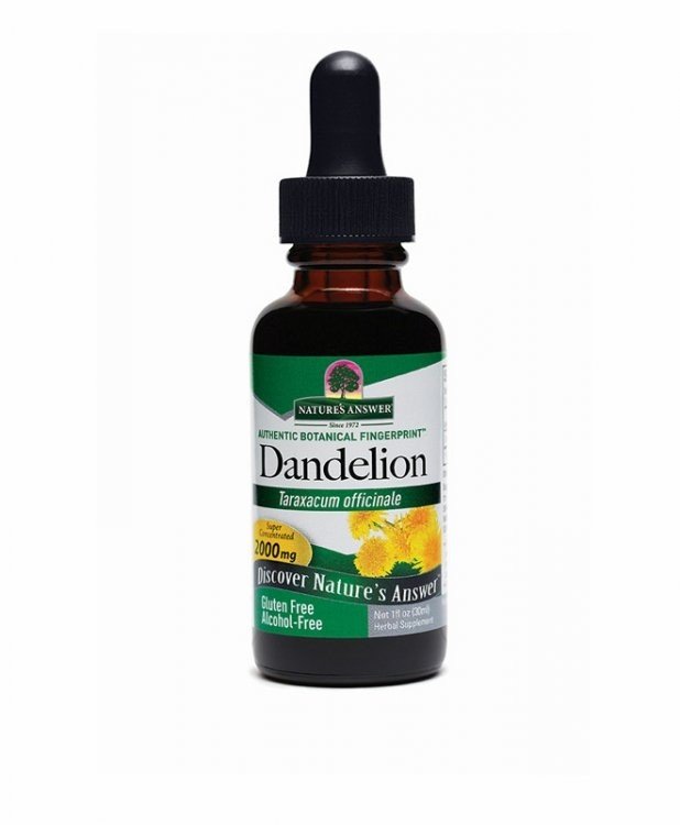Nature&#39;s Answer Dandelion Root Extract No Alcohol 1 oz Liquid