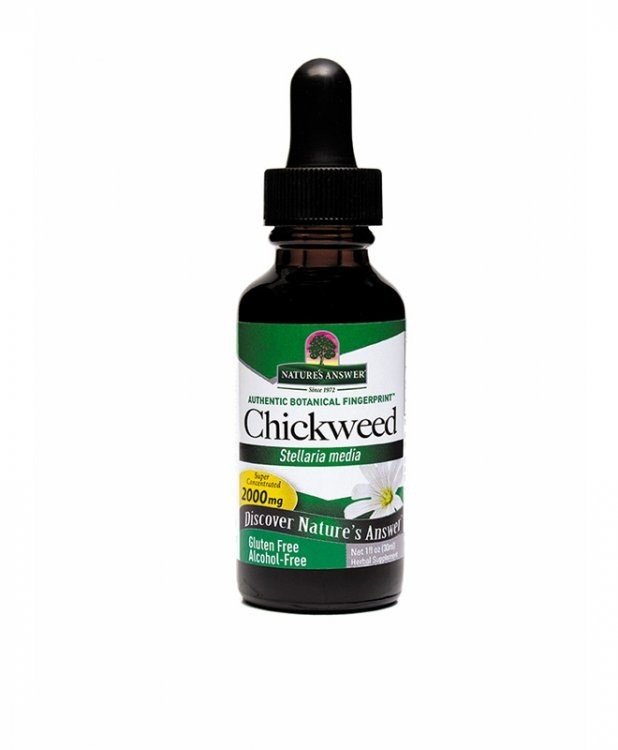 Nature's Answer Chickweed Extract No Alcohol 1 oz Liquid