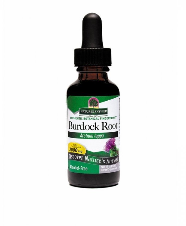 Nature's Answer Burdock Root Extract No Alcohol 1 oz Liquid