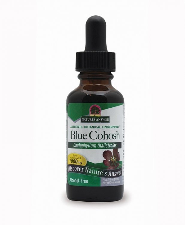 Nature&#39;s Answer Blue Cohosh Extract No Alcohol 1 oz Liquid