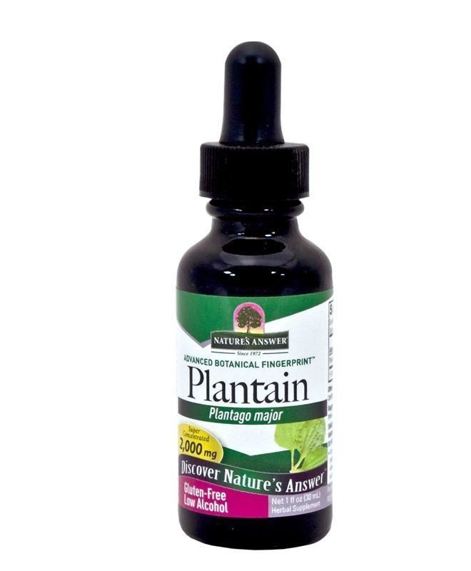 Nature's Answer Plantain Leaf Extract 1 oz Liquid