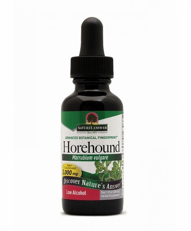 Nature&#39;s Answer Horehound Extract 1 oz Liquid