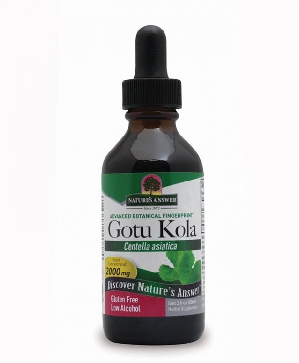 Nature's Answer Gotu Kola Extract 2 oz Liquid