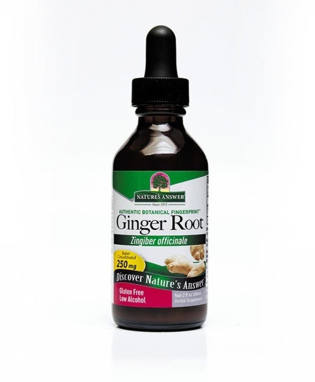 Nature&#39;s Answer Ginger Root Extract 2 oz Liquid