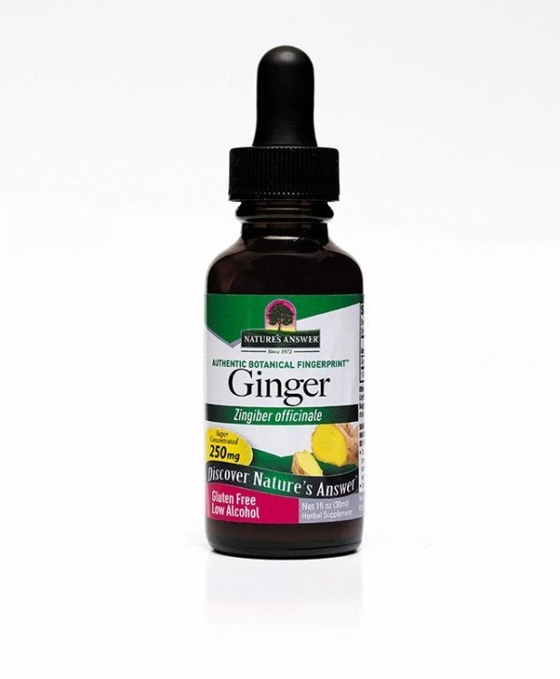 Nature's Answer Ginger Root Extract 1 oz Liquid