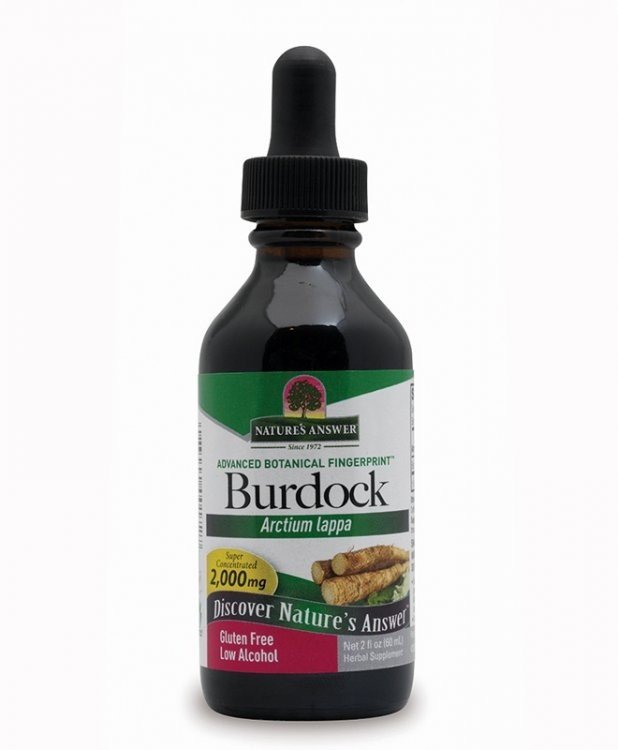 Nature&#39;s Answer Burdock Root Extract 2 oz Liquid