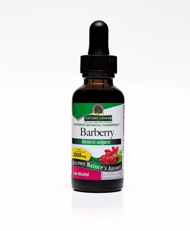 Nature's Answer Barberry Root 1 oz Liquid