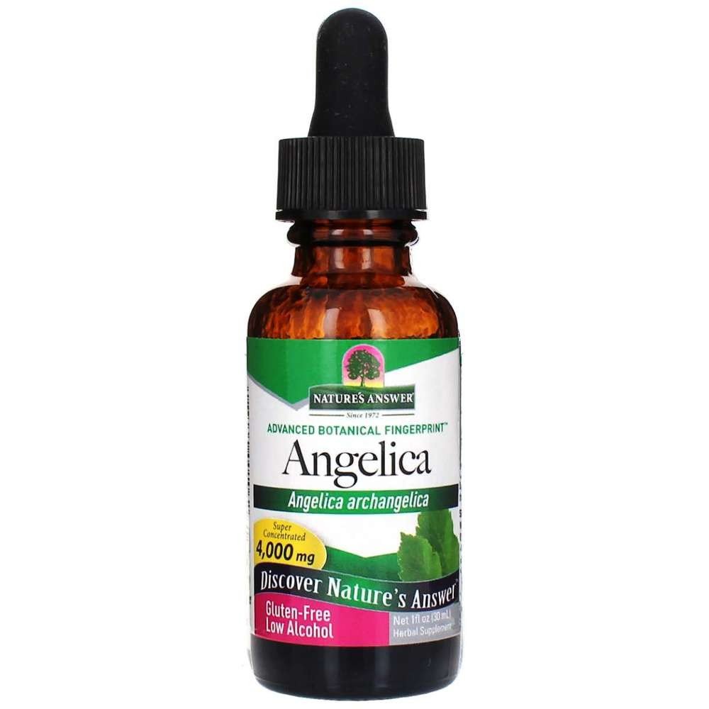 Nature's Answer Angelica Root Extract 1 oz Liquid