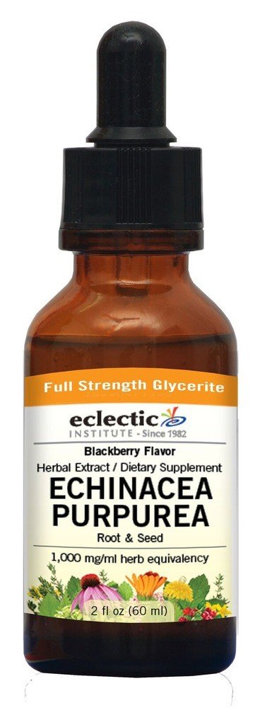 Eclectic Herb Echinacea Purpurea-Blackberry No Alcohol Glycerite 2 oz Liquid