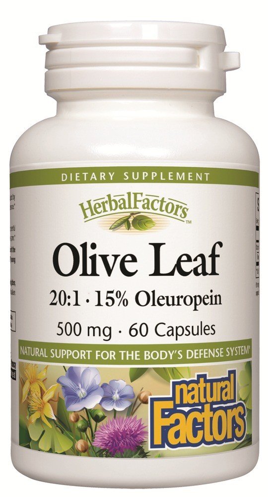 Natural Factors Olive Leaf Extract 500mg 60 Capsule