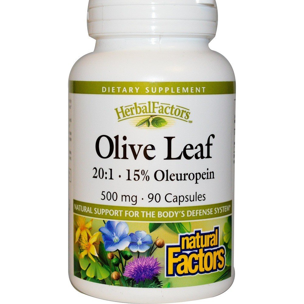 Natural Factors Olive Leaf Extract 500mg 90 Capsule