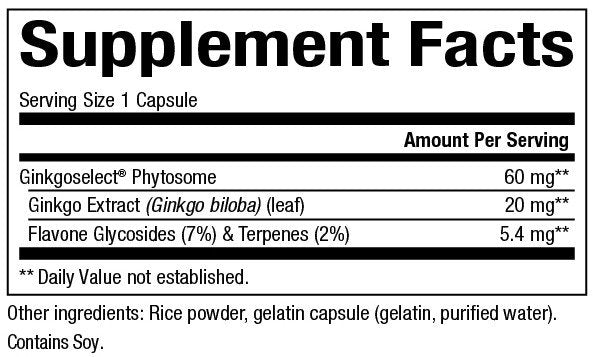 Natural Factors Ginko Biloba Phytosome 60mg 60 Capsule