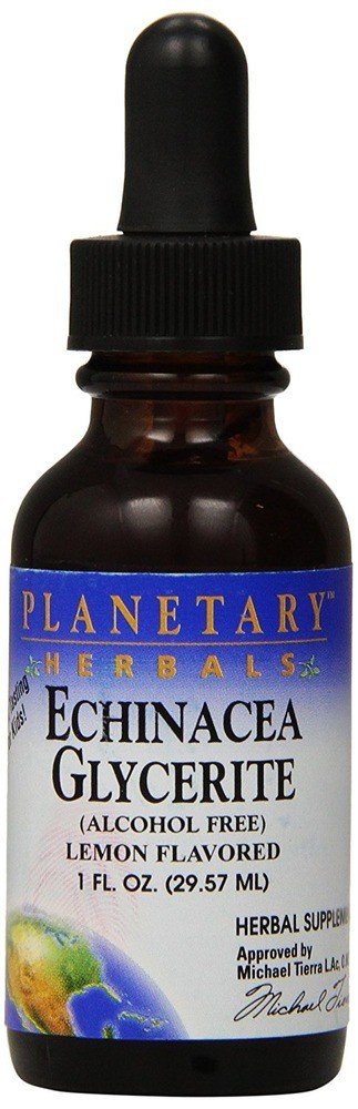Planetary Herbals Echinacea Glycerite - Lemongrass 1 oz Liquid