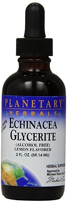 Planetary Herbals Echinacea Glycerite - Lemongrass 2 oz Liquid