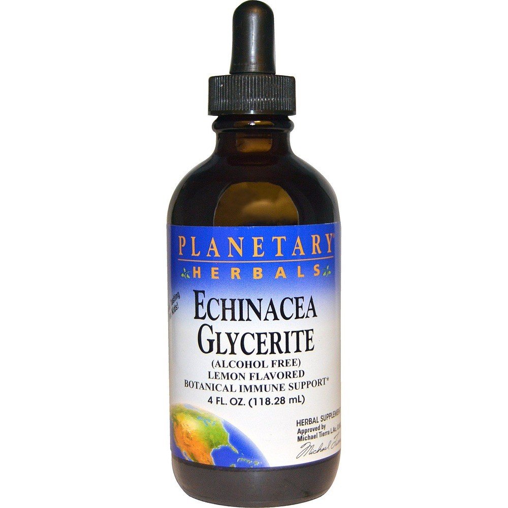 Planetary Herbals Echinacea Glycerite - Lemongrass 4 oz Liquid