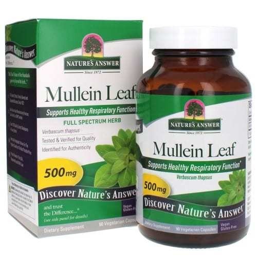 Nature&#39;s Answer Mullein Leaf 90 Capsule