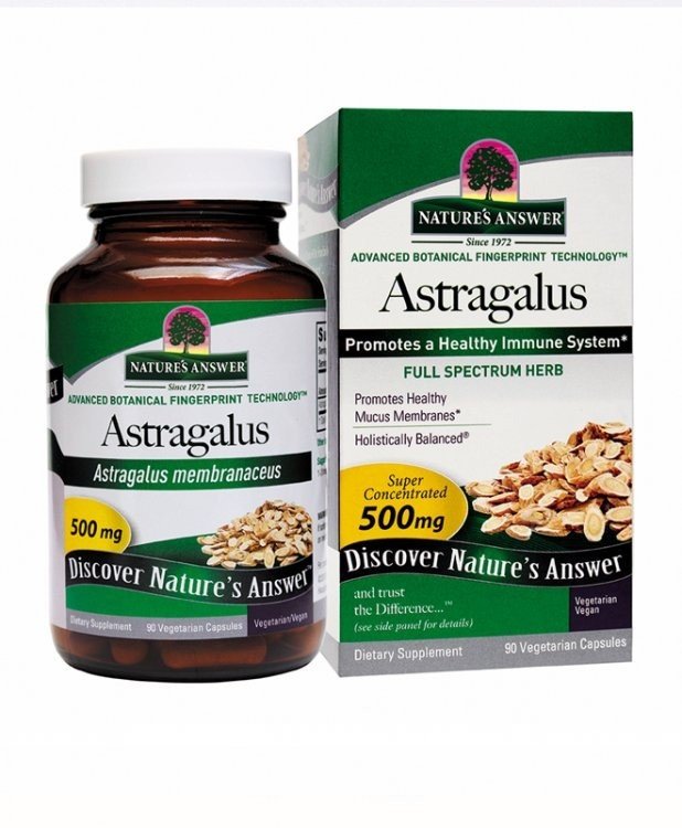 Nature's Answer Astragalus Root Standardized 60 VegCap