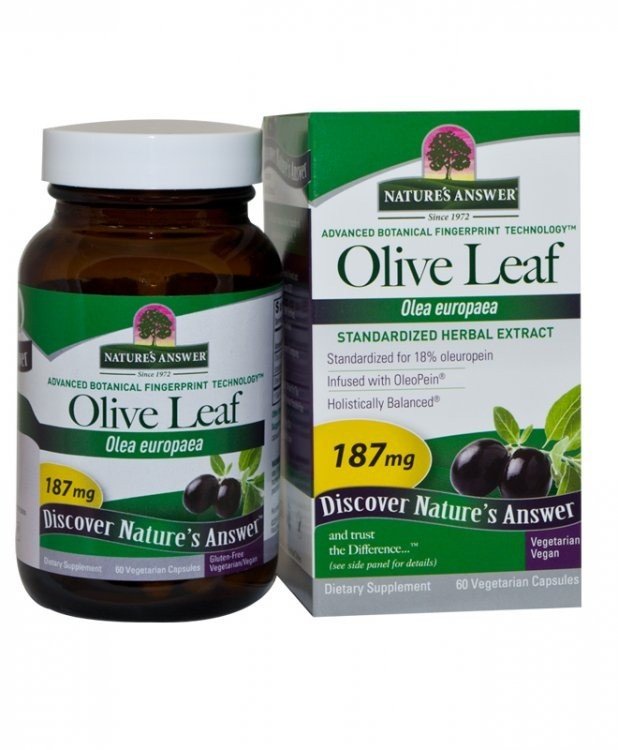 Nature&#39;s Answer OleoPein Olive Leaf Standardized 60 VegCap