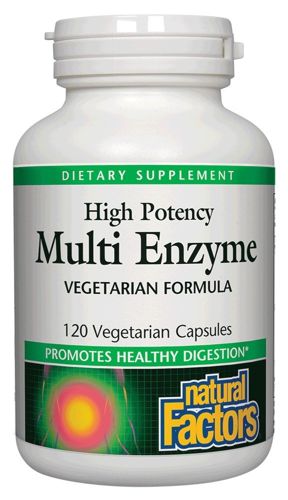 Natural Factors Multi Enzyme Vegetarian Formula 120 VegCap