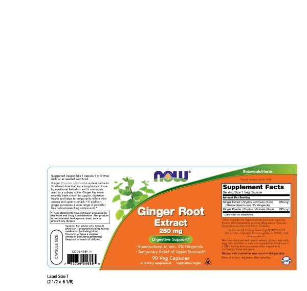 Now Foods Ginger Root Extract 250 mg 90 VegCap