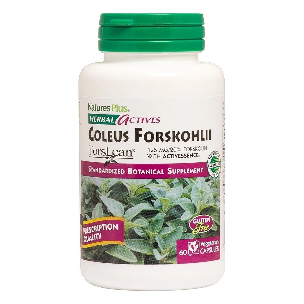 Nature&#39;s Plus Herbal Actives Coleus Forskohilli Forslean 60 Capsule