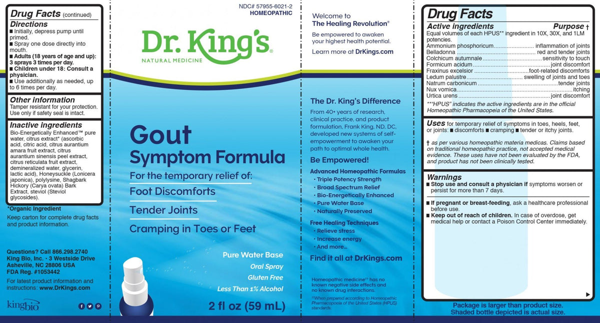 Dr King Natural Medicine Gout Symptom Formula 2 oz Liquid