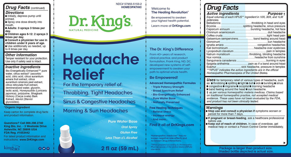 Dr King Natural Medicine Headache 2 oz Liquid