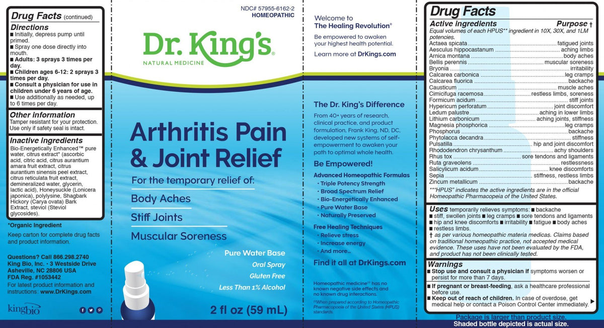 Dr King Natural Medicine Arthritis Pain &amp; Joint Relief 2 oz Liquid