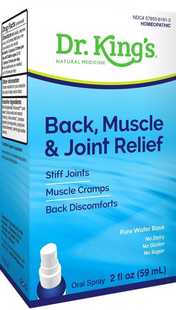 Dr King Natural Medicine Back, Muscle &amp; Joint Relief 2 oz Liquid