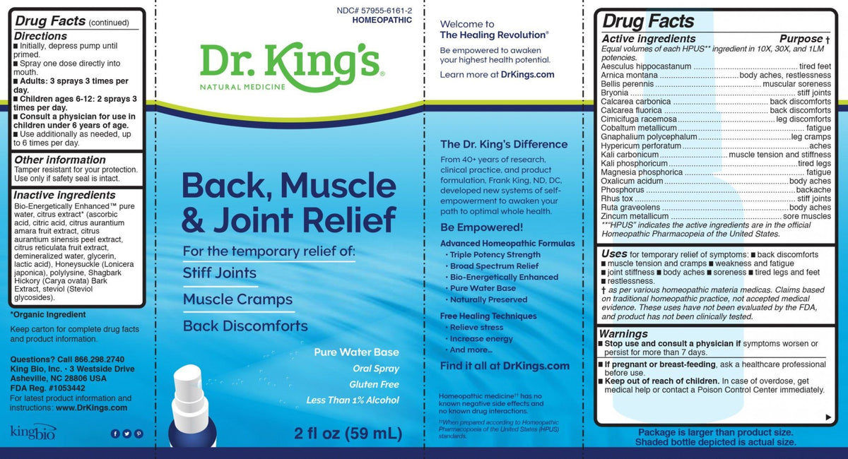 Dr King Natural Medicine Back, Muscle &amp; Joint Relief 2 oz Liquid